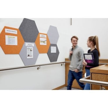 EcoBoard